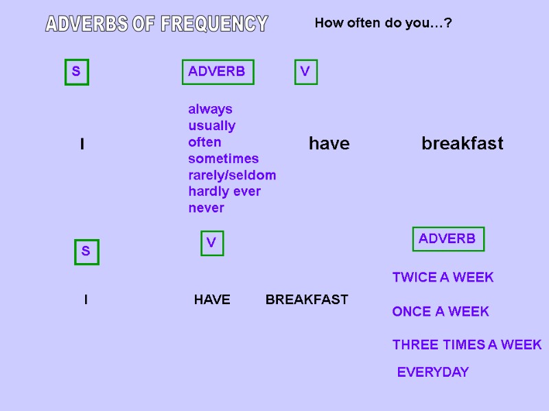 ADVERBS OF FREQUENCY  always    usually    often 